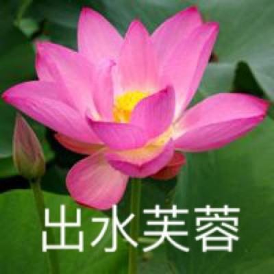 武庚纪2手游下载